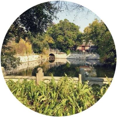 官人我要剧情全解锁版下载